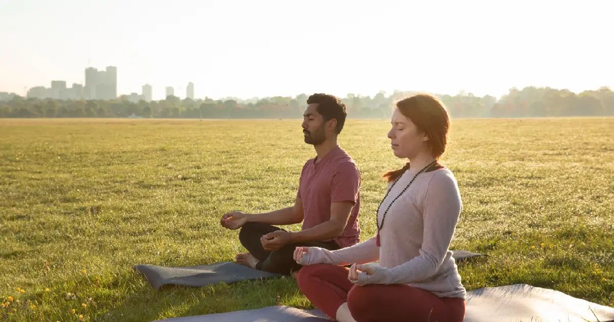 Wellness Kampları